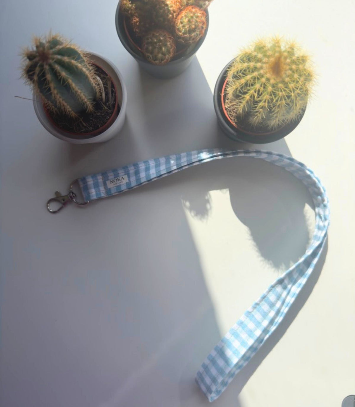 Lanyard Vichy azul